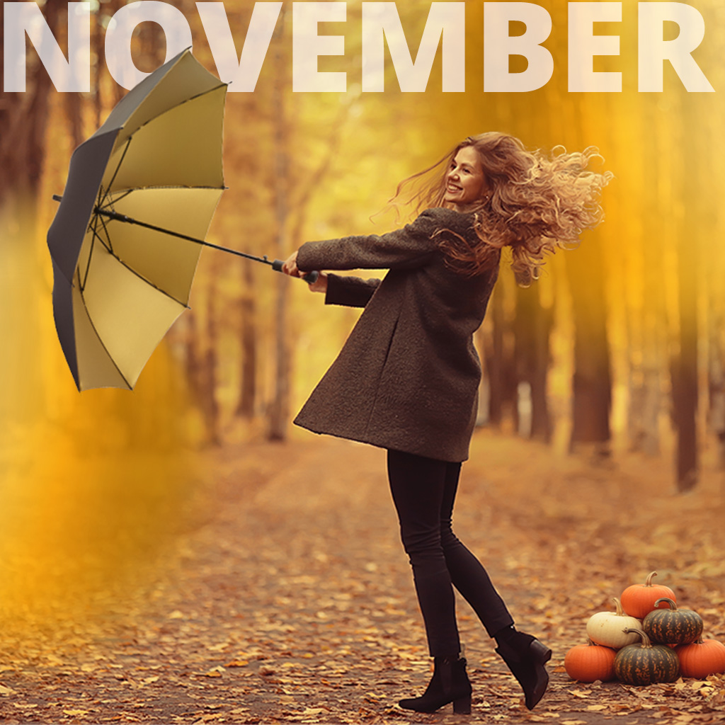 Schirm des Monats November: AC-Stockschirm FARE® Doubleface